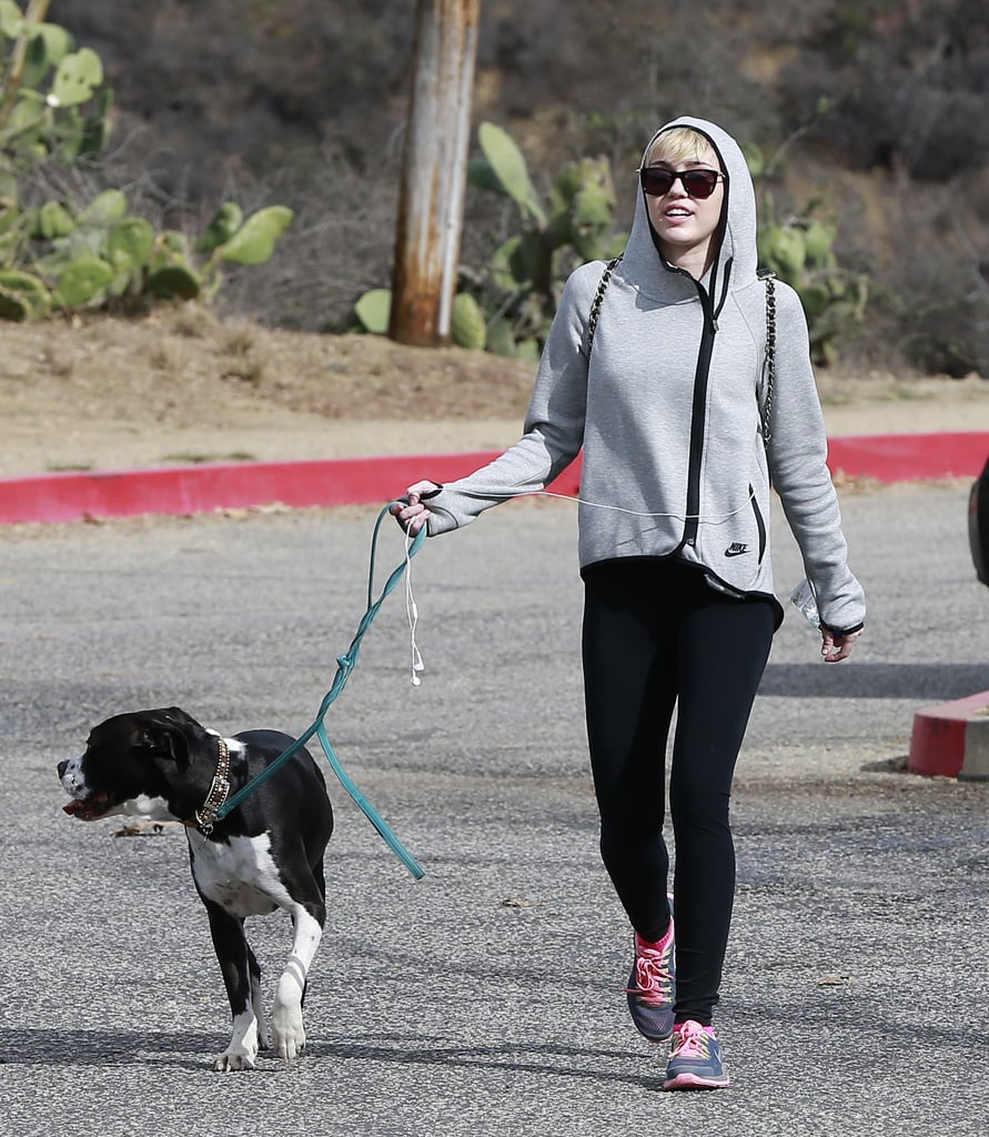 On Sunday, Miley Cyrus walked her dog Mary Jane in Beverly Hills.