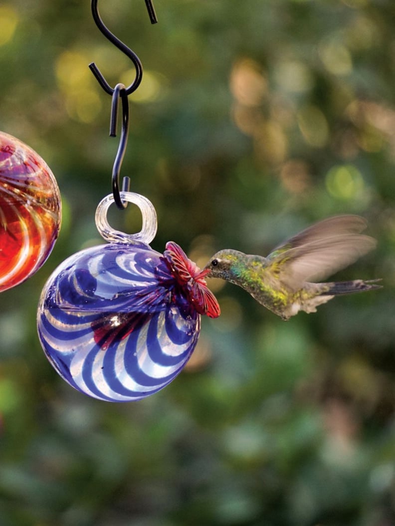 A Hanging Feeder: Hanging Blown Glass Hummingbird Feeder