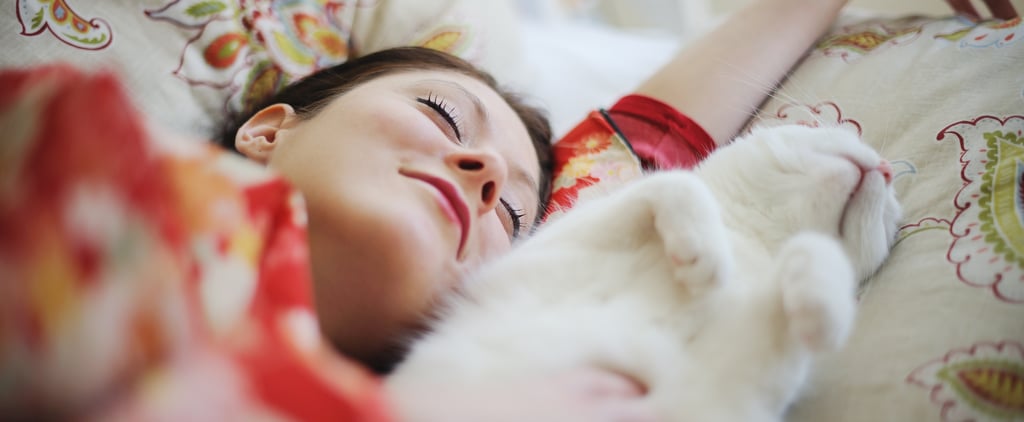 Why Does My Cat Sleep on Me?