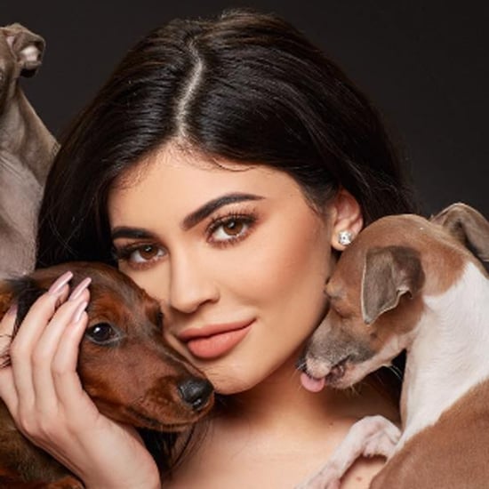 Kylie Jenner's Dogs on Instagram