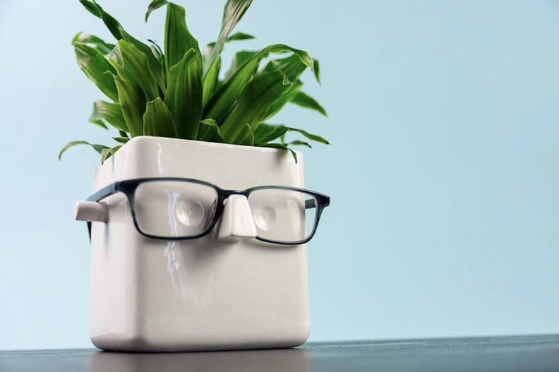 For the Plant Parent: Face Plant Holder