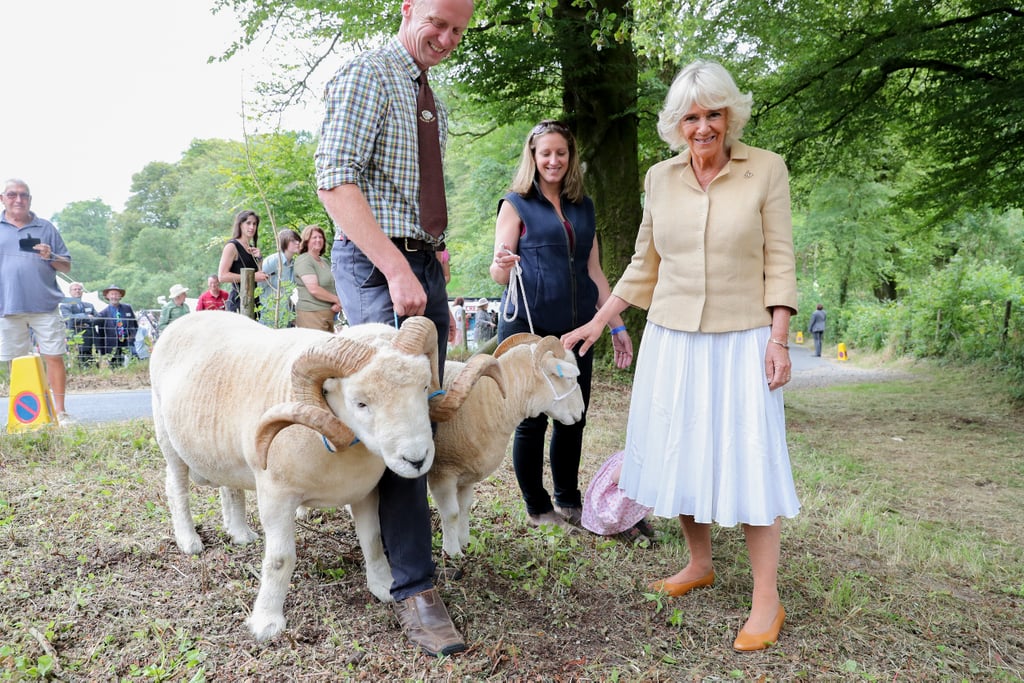 Camilla Parker Bowles Birthday Photos 2019