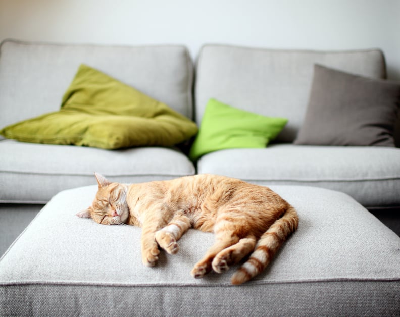 A lazy tom cat sleeping stretched out on a large footstool in front of a couch.