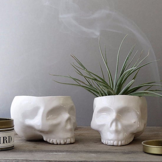 Skull Succulent Planters