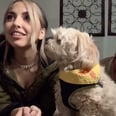 TikTok's "Call Your Dog" Challenge Has Some Pups Losing Their Damn Minds