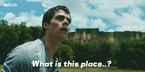 A Confusing New Environment Within the Dystopian Society