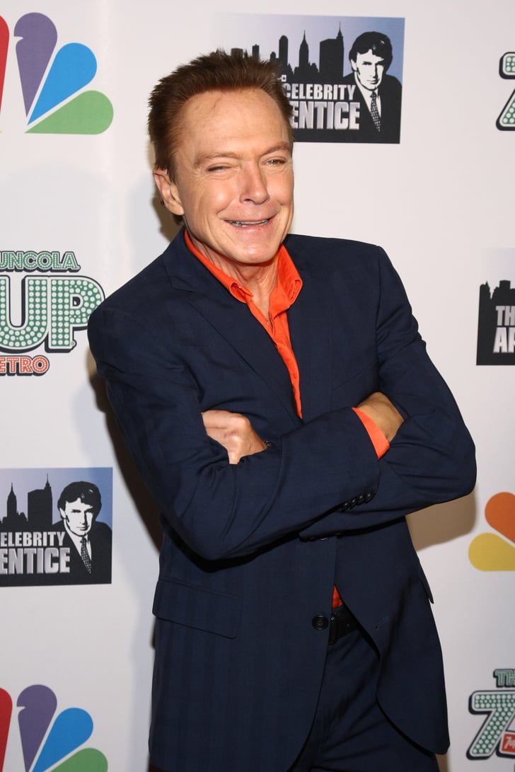 David Cassidy | Celebrities Who Died in 2017 | POPSUGAR Celebrity Photo 81