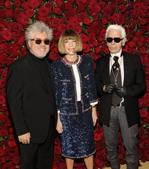 2011 MoMA Almodovar Film Benefit Red Carpet Fashion [Pictures]