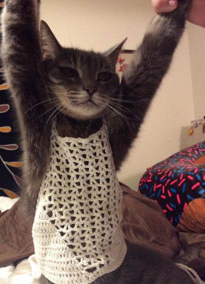 Cat in Crochet Crop Top