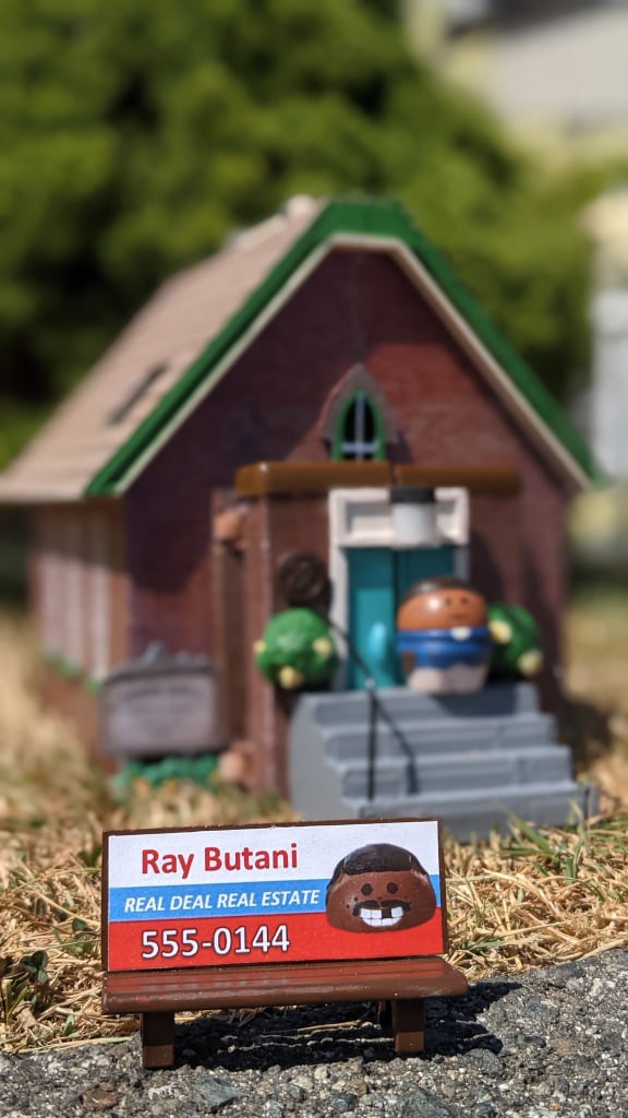 Sorry about your drawn-on tooth, Ray.