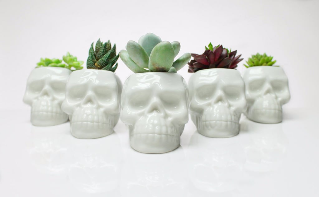 Skull Succulent Planters