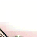 The "Sexy Tigress" Slide