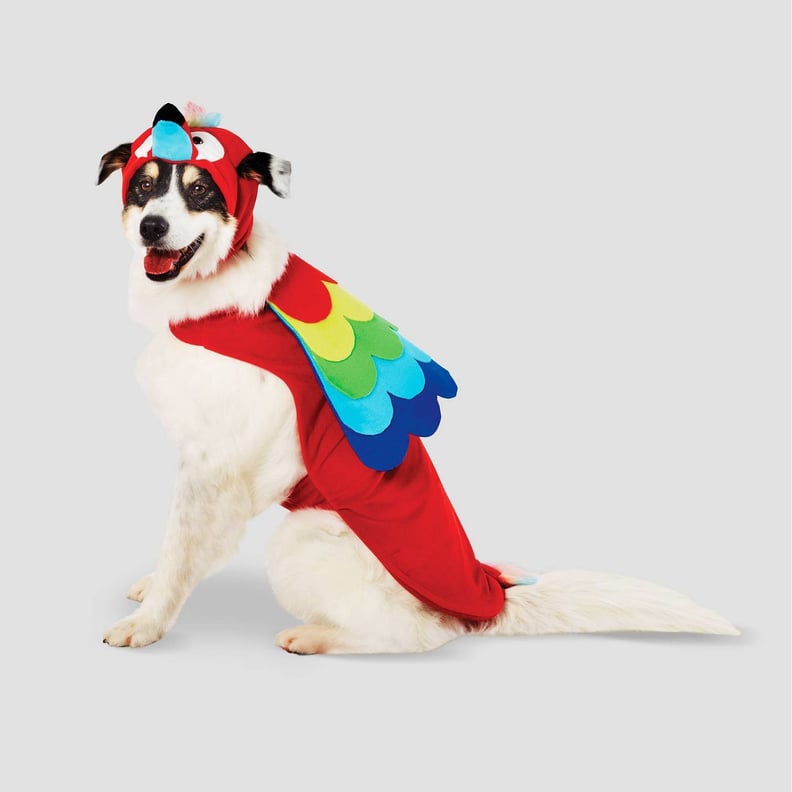 Parrot Halloween Dog Costume