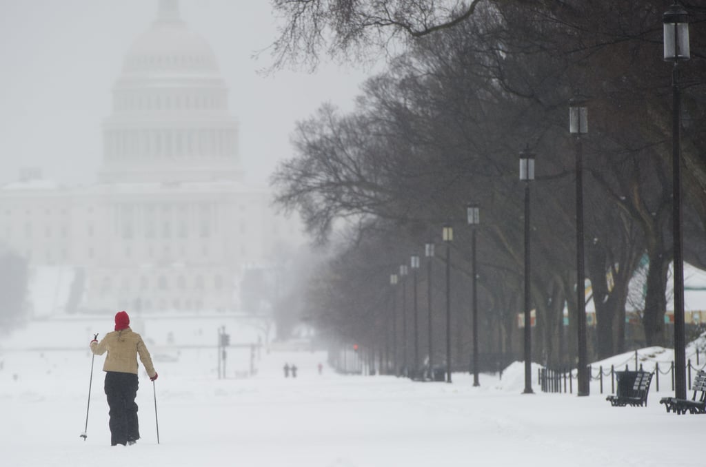 A skier took to the streets of Washington DC.