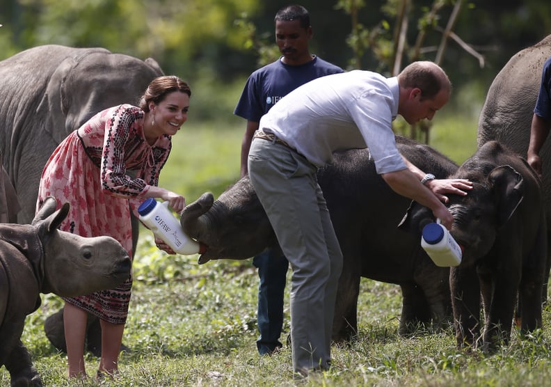 When They Fed Baby Rhinos