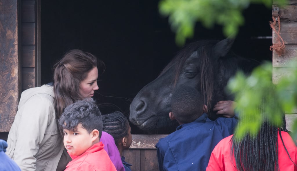 When She Had a Little Chat With a Horse