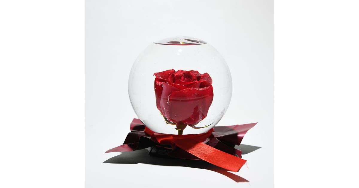 Rose Globe Where to Buy Rose Globes For Valentine's Day POPSUGAR
