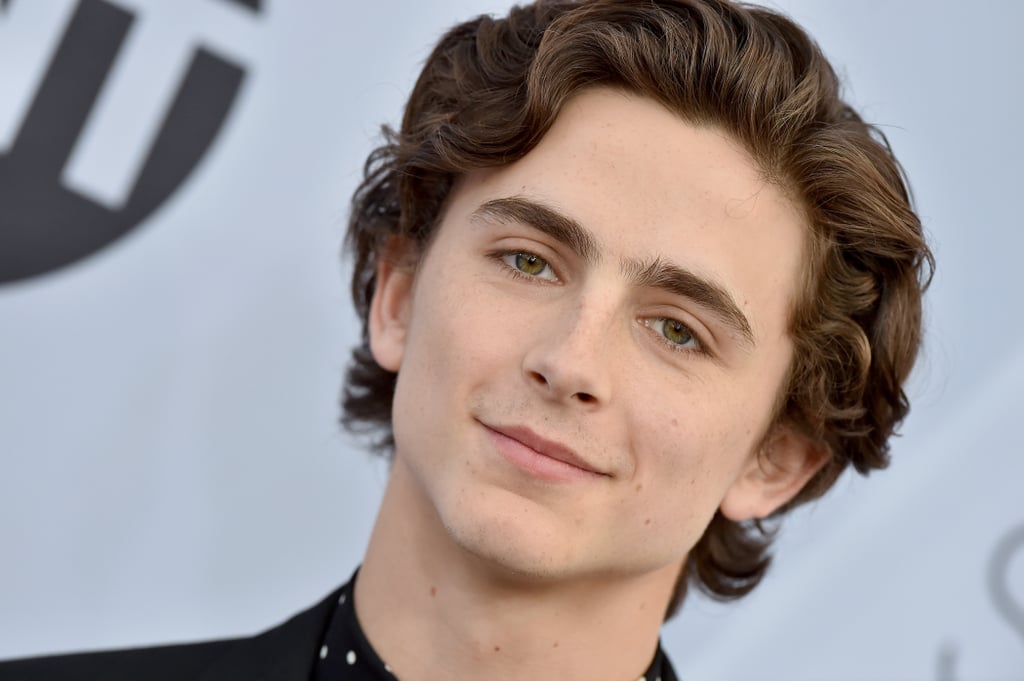 Hot Timothée Chalamet Pictures