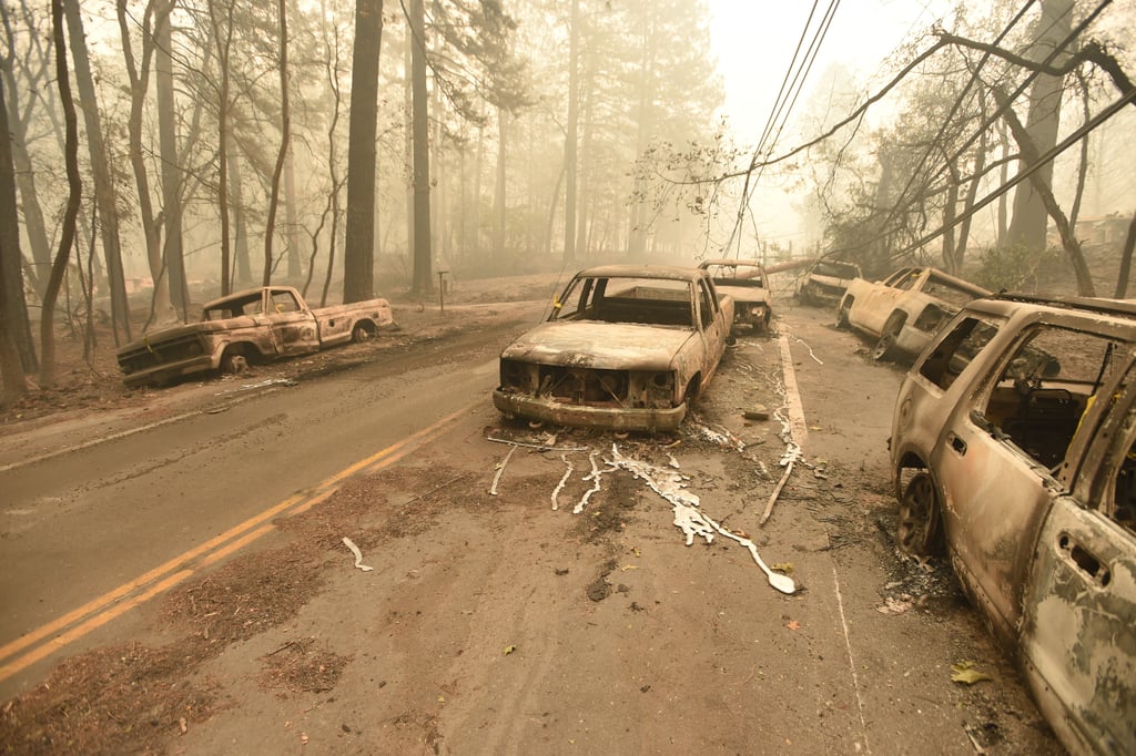 Burnt out vehicles litter the roads of Paradise, CA.