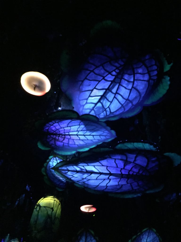 Which Pandora World of Avatar Ride Is For Kids?
