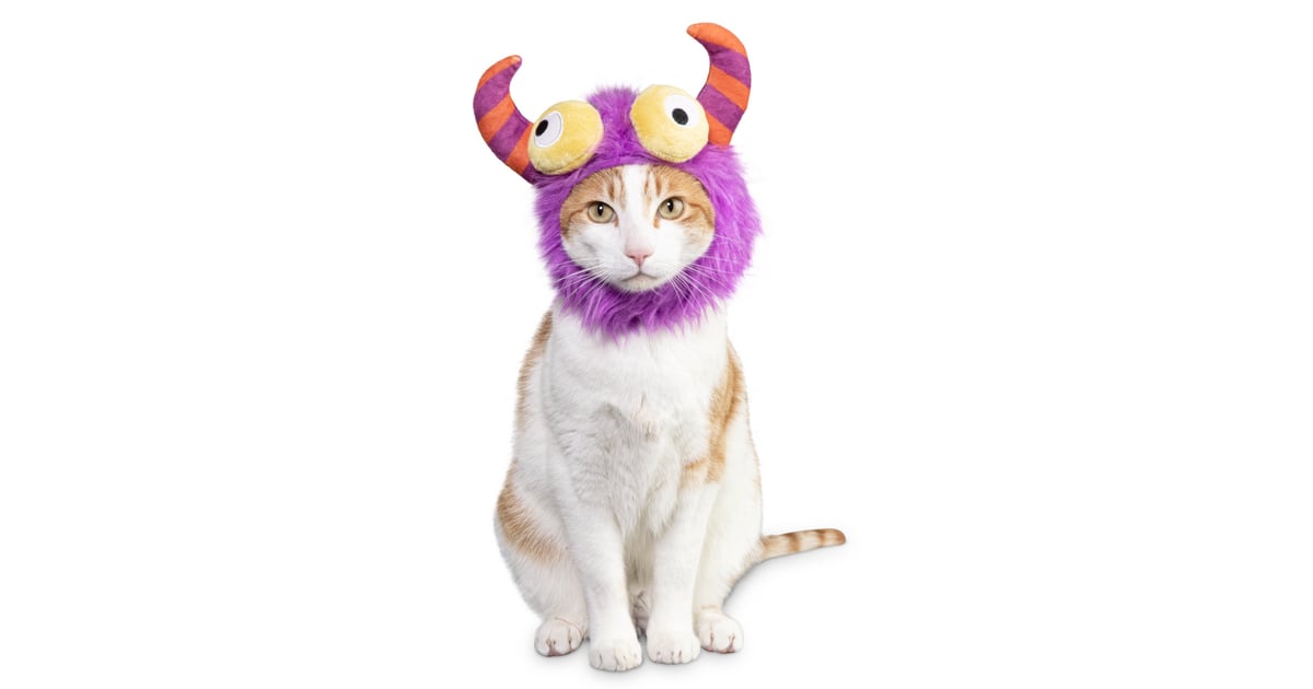 cat headpiece