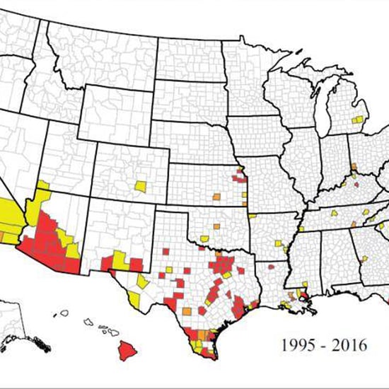 Zika Mosquitos in the United States