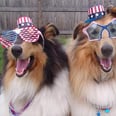 Oh, Just 17 Adorable Photos of Doggos Dressed Up For Fourth of July