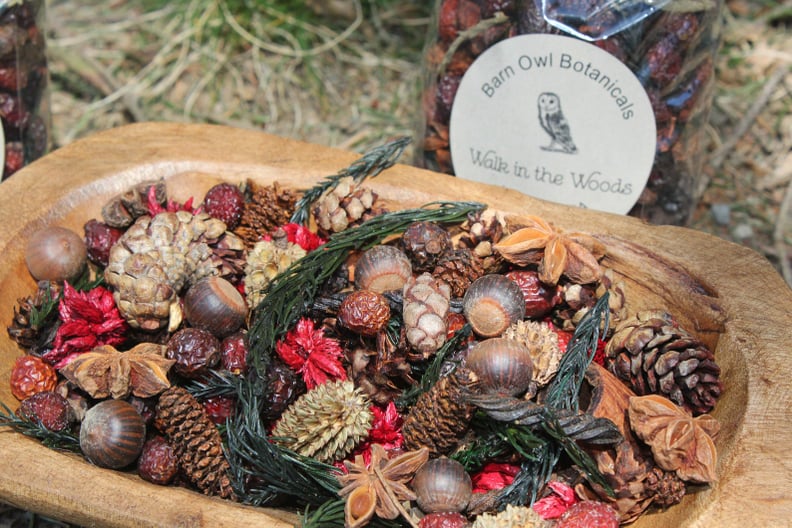 Walk in the Woods Potpourri