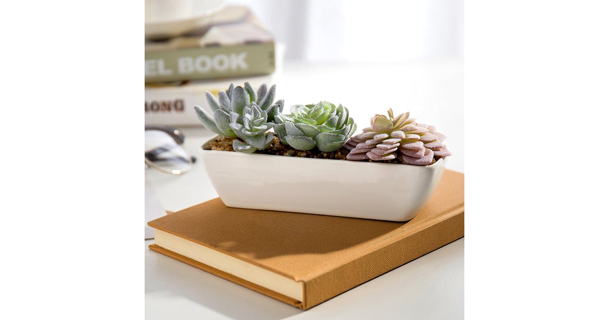 Miniature Faux Succulent Arrangement in White Ceramic Rectangular