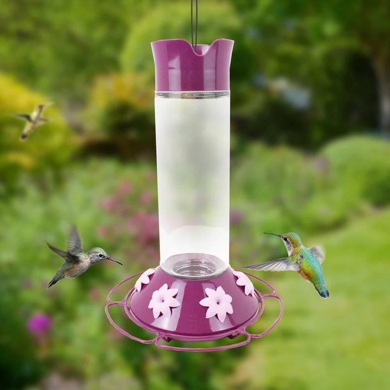 A Large Feeder: Perky-Pet Our Best Wine Base Glass Hummingbird Feeder