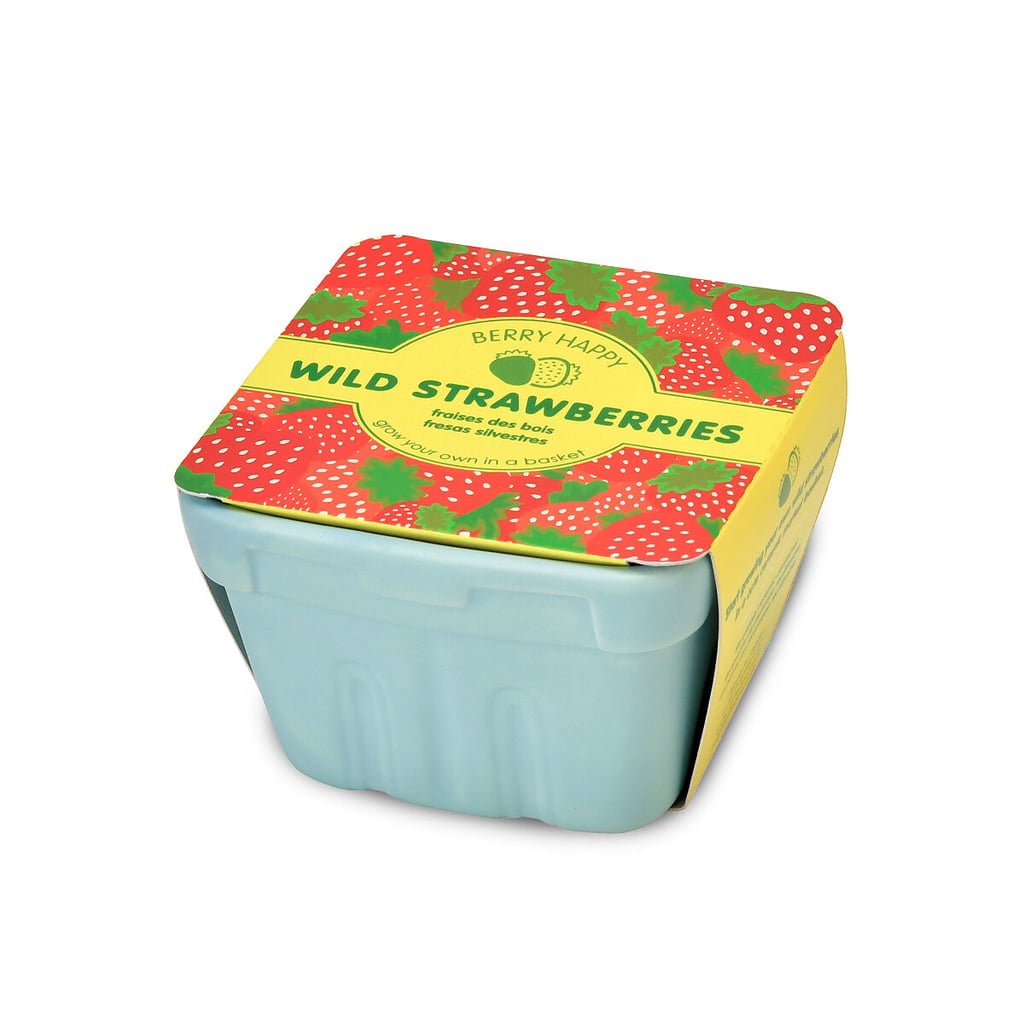 Strawberry Grow Kit