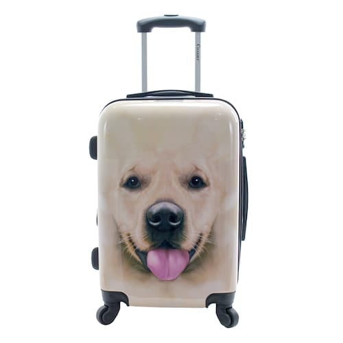 Chariot top luggage dog