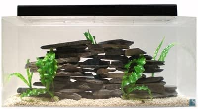 Seaclear deals acrylic aquarium