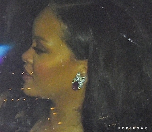 Rihanna's Purple Outfit 30th Birthday