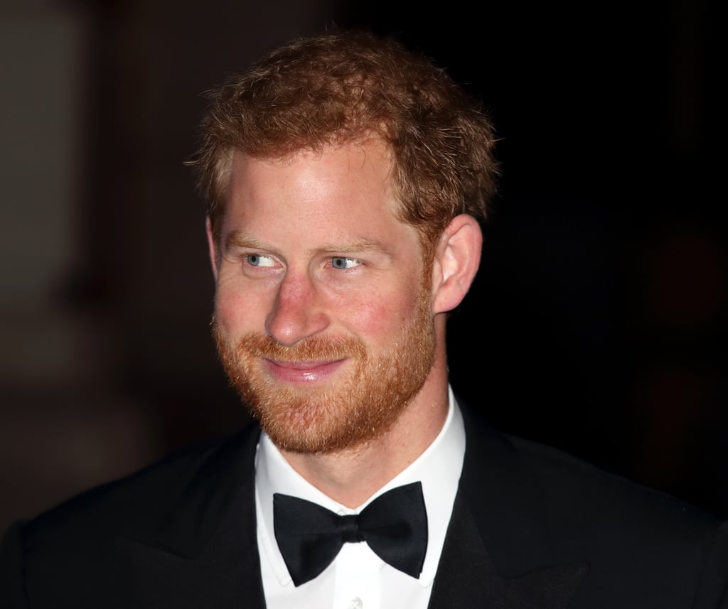 Prince Harry and Prince Charles Lookalike Beard Photos