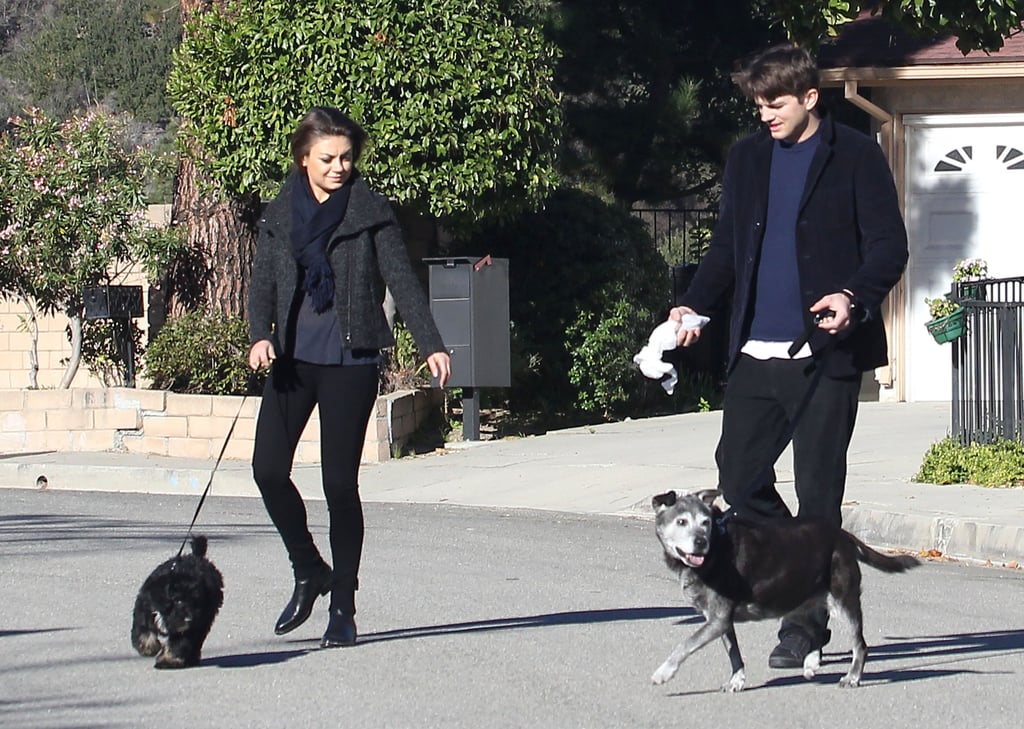 Ashton Kutcher and Mila Kunis Walking Their Dogs