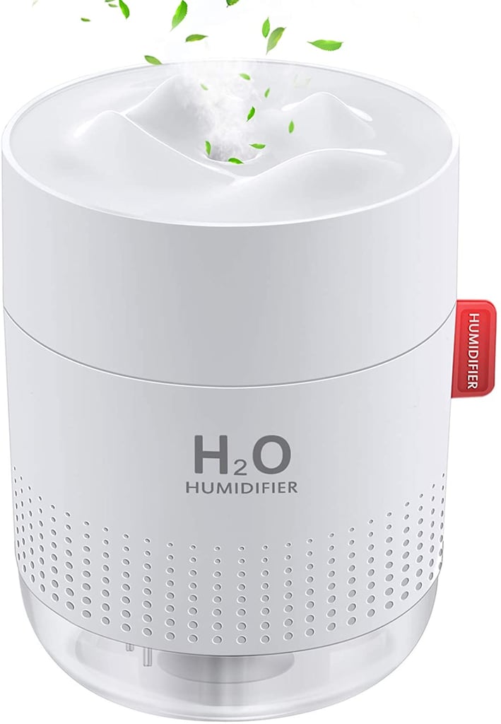 A Winter Find: FoPcc Portable Humidifier