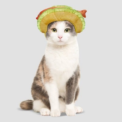 Fish Taco Headpiece Halloween Cat Costume