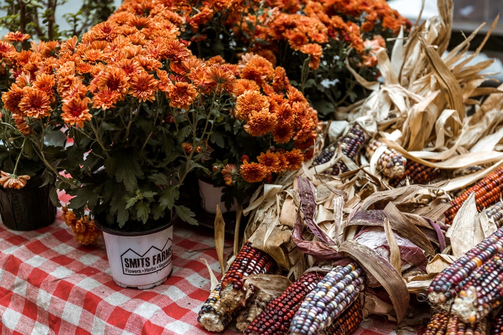 Enjoying the Fall flowers.