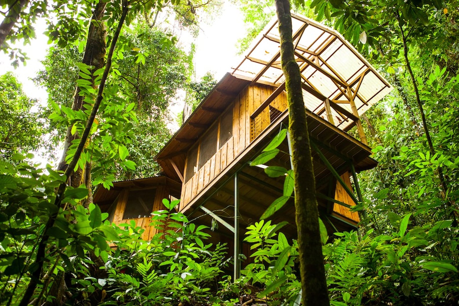 Tree House Vacations | PS Smart Living