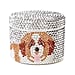 Year of the Dog Beauty Products
