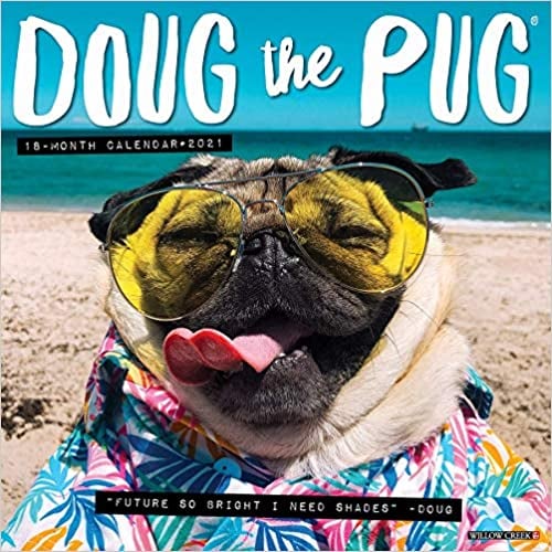 Doug the Pug 2021 Wall Calendar The Best Calendars For 2021