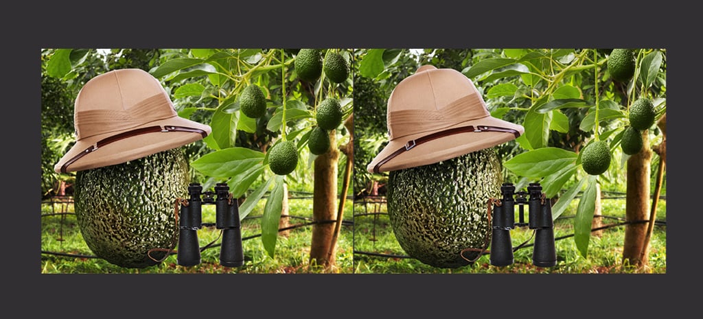 Coupon For Free Chipotle Guacamole | March 2016 | POPSUGAR Food