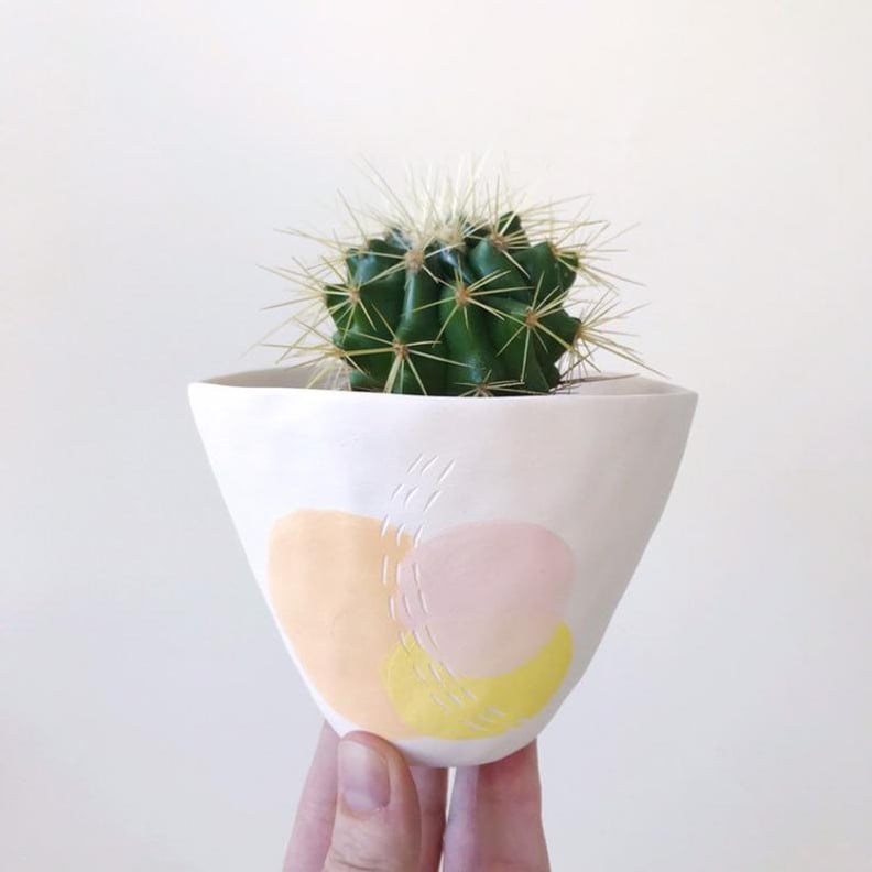 Blanche Cactus and Handmade Ceramic Planter