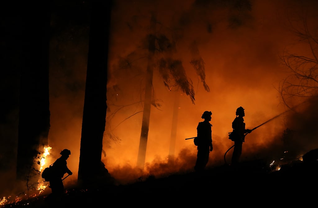 Sacramento Wildfire September 2014 | Pictures