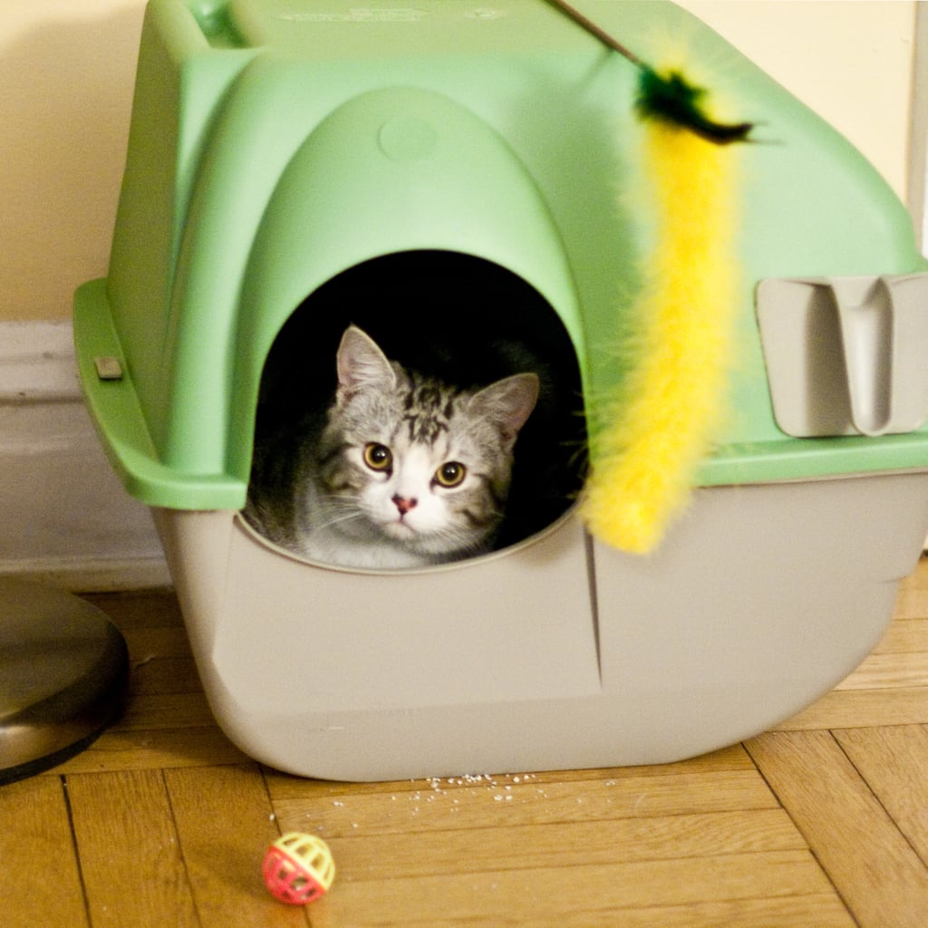 Catgenie Self Washing Self Flushing Cat Box Kick The Scoop To