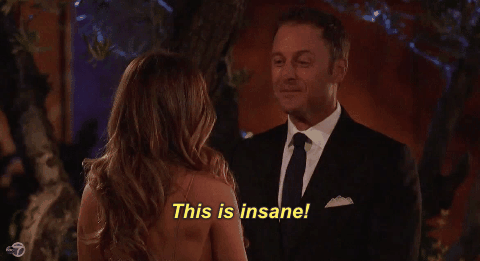 Who genuinely loves their job this much? Chris Harrison.