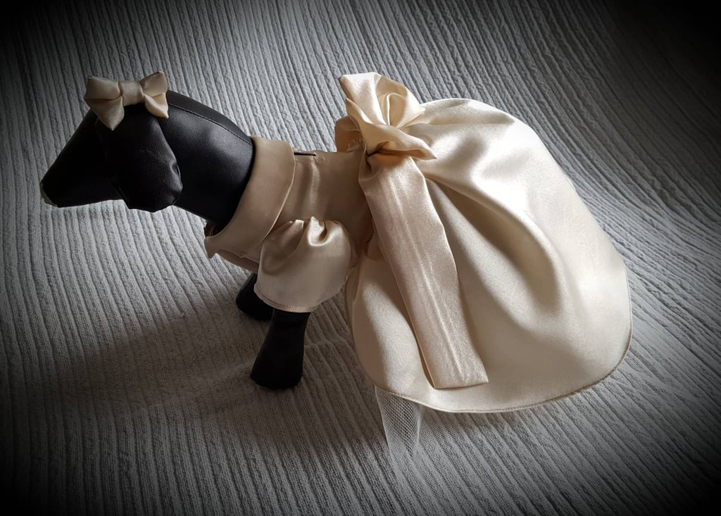 Dog Bridesmaid Dress