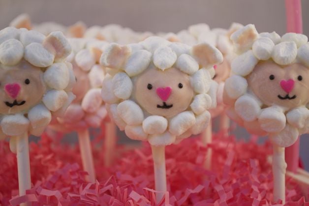 Easter Lamb Cake Pops