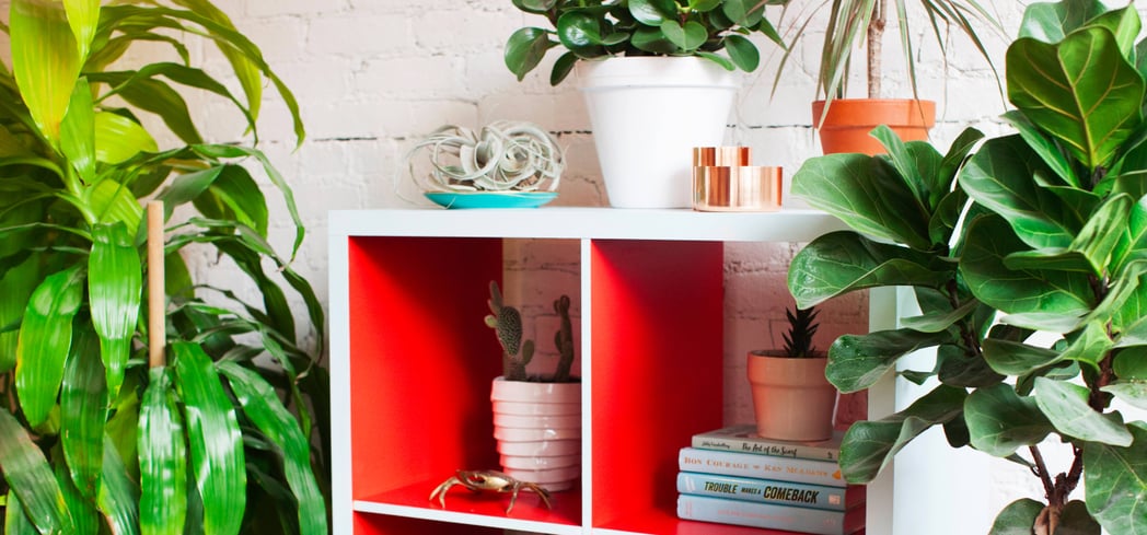 Diy Painted Bookshelf Popsugar Home